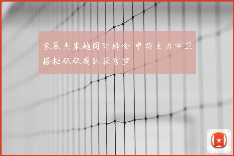 朱辰杰朱越同时转会 申花主力中卫搭档双双离队获官宣
